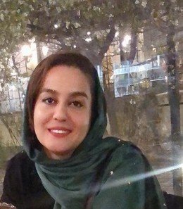 خانم مهندس محمدزاده